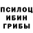 Псилоцибиновые грибы Psilocybine cubensis Den 2020
