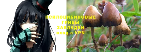 индика Братск