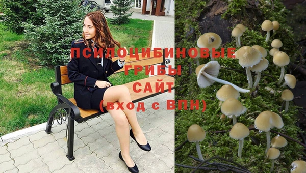 бошки Нижний Тагил