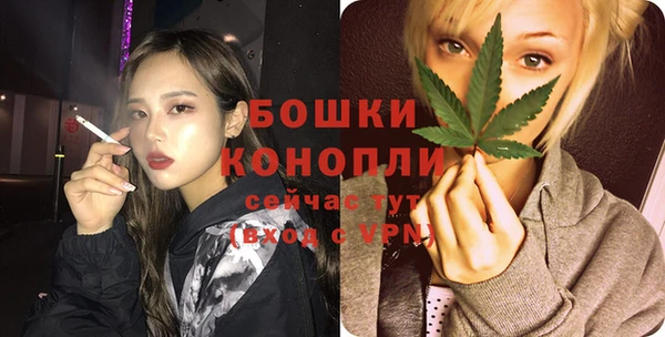 дживик Кострома