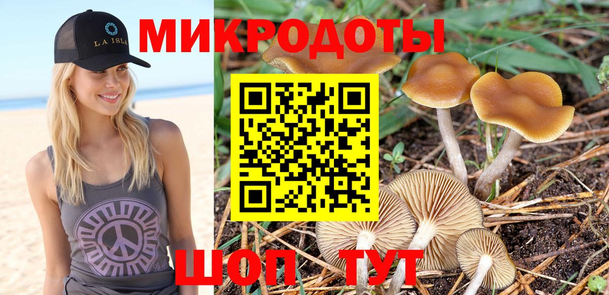 Псилоцибиновые грибы Psilocybine cubensis Россия